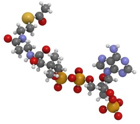 Simpla 360, Coenzyme Q10 içerir